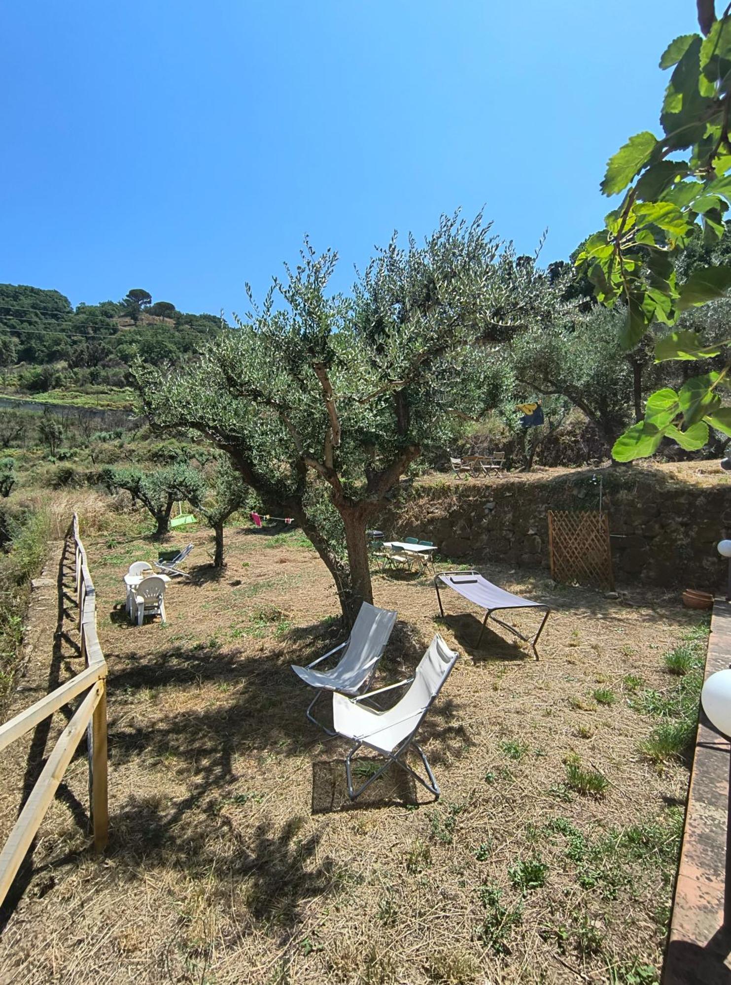 L'Antica Quercia B&B Castell'Umberto Zewnętrze zdjęcie